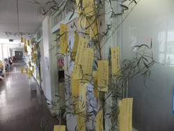 Dscf6951_800x600
