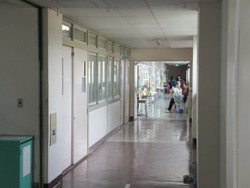 Dscf6983_800x600